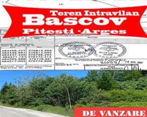 bascov800-508