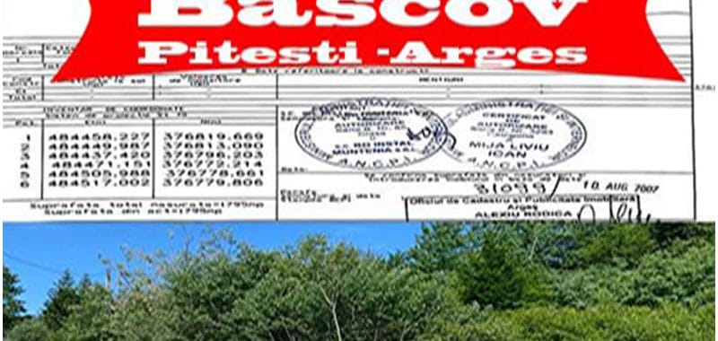bascov800-508