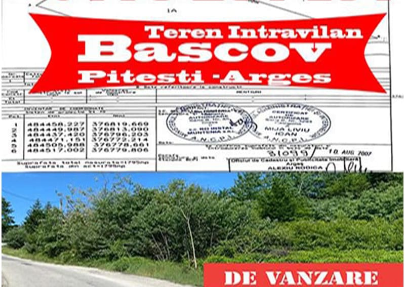 bascov800-508