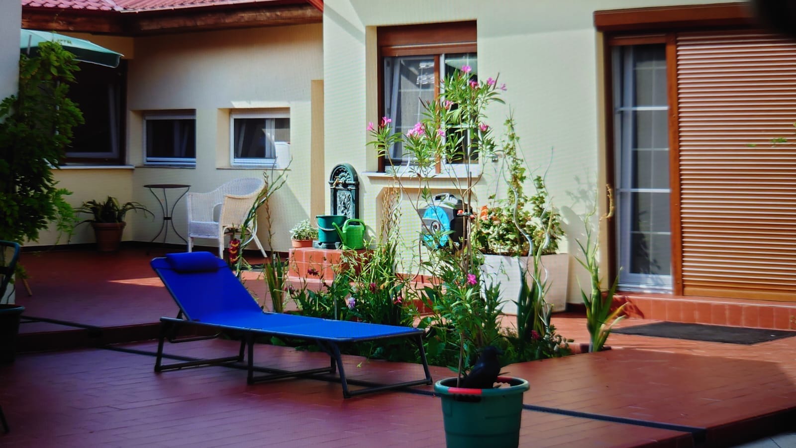 IMG-20250625-WA0018