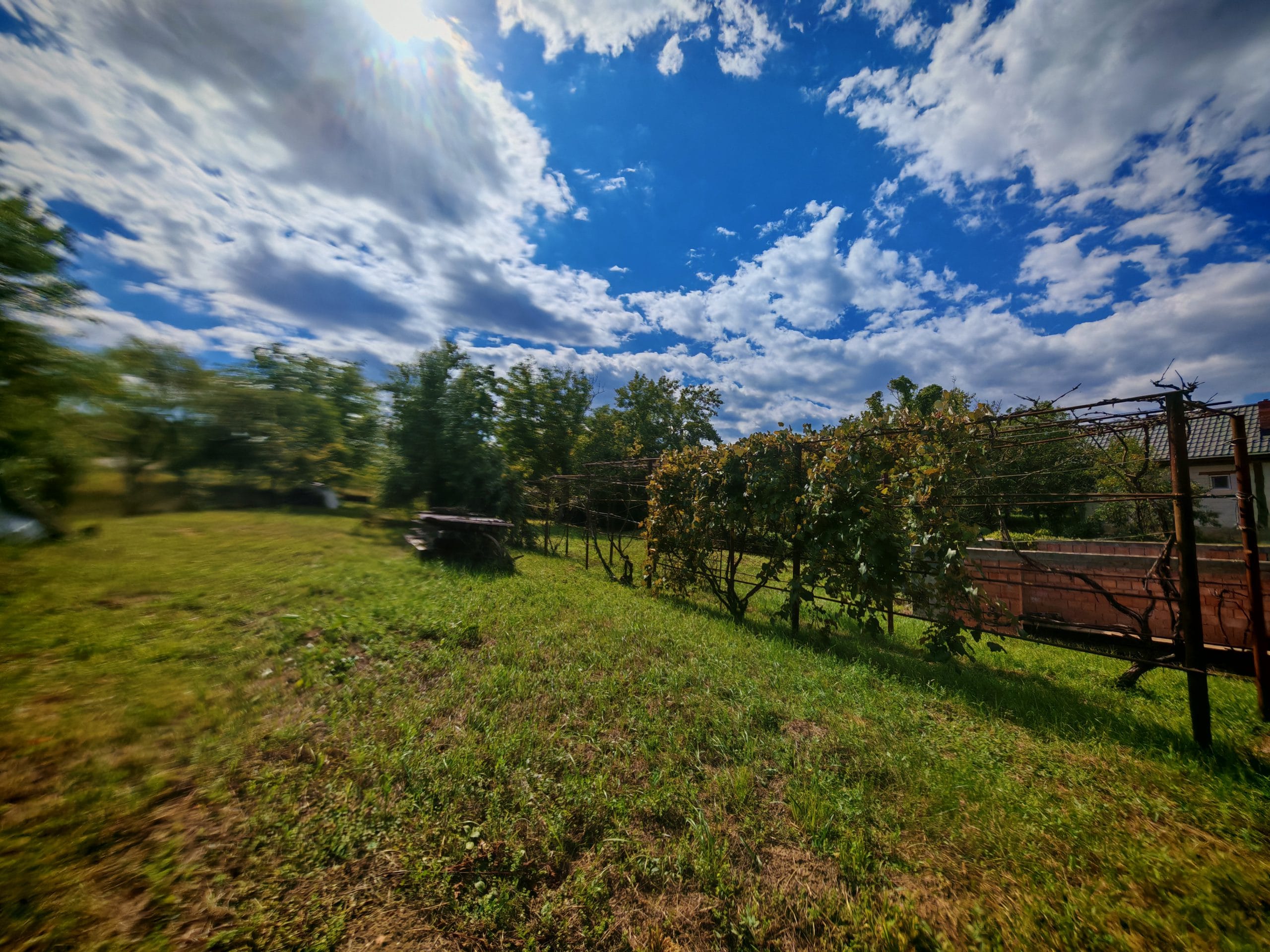 IMG_20250826_151114-1