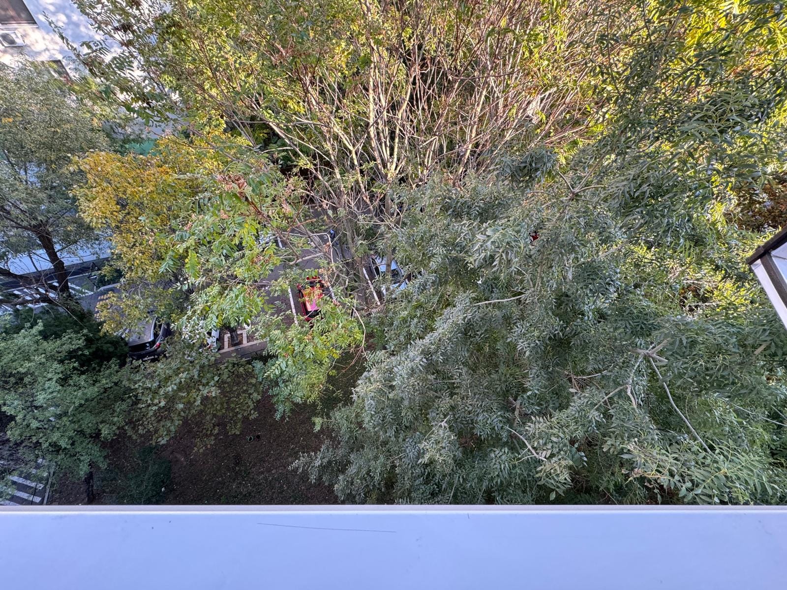 9.WhatsApp-Image-2025-10-24-at-10.32.20-10