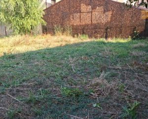 WhatsApp-Image-2025-07-24-at-09.51.13