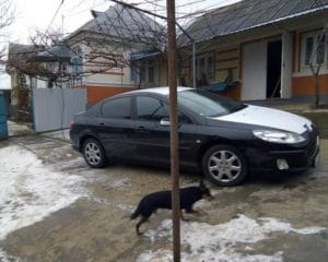 WhatsApp-Image-2025-11-10-at-11.34.56_86b7e813