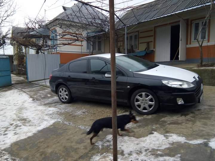 WhatsApp-Image-2025-11-10-at-11.34.56_86b7e813