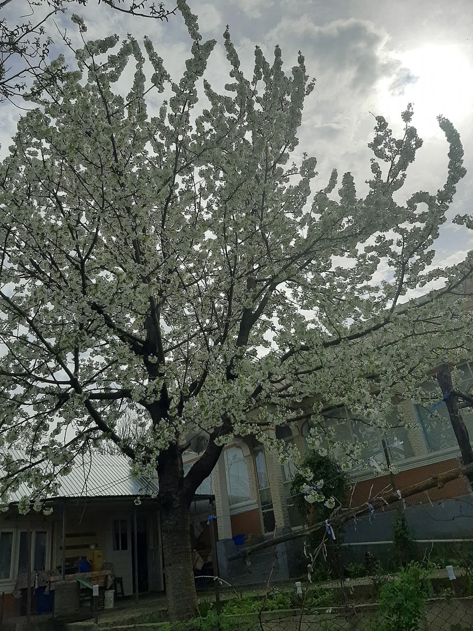 WhatsApp-Image-2025-11-10-at-13.50.03_55a58220