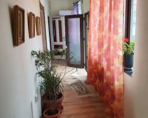 photo_2025-11-09_19-22-26