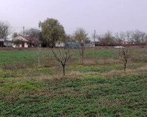vedere-panoramica-casa-foisor-gradina