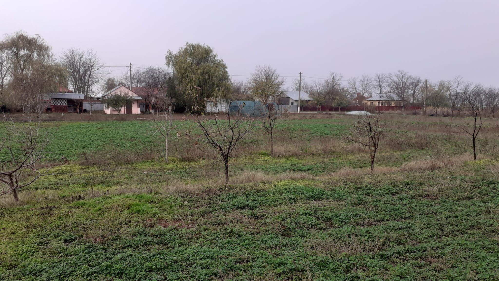 vedere-panoramica-casa-foisor-gradina