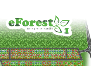 e-forest1Lowres