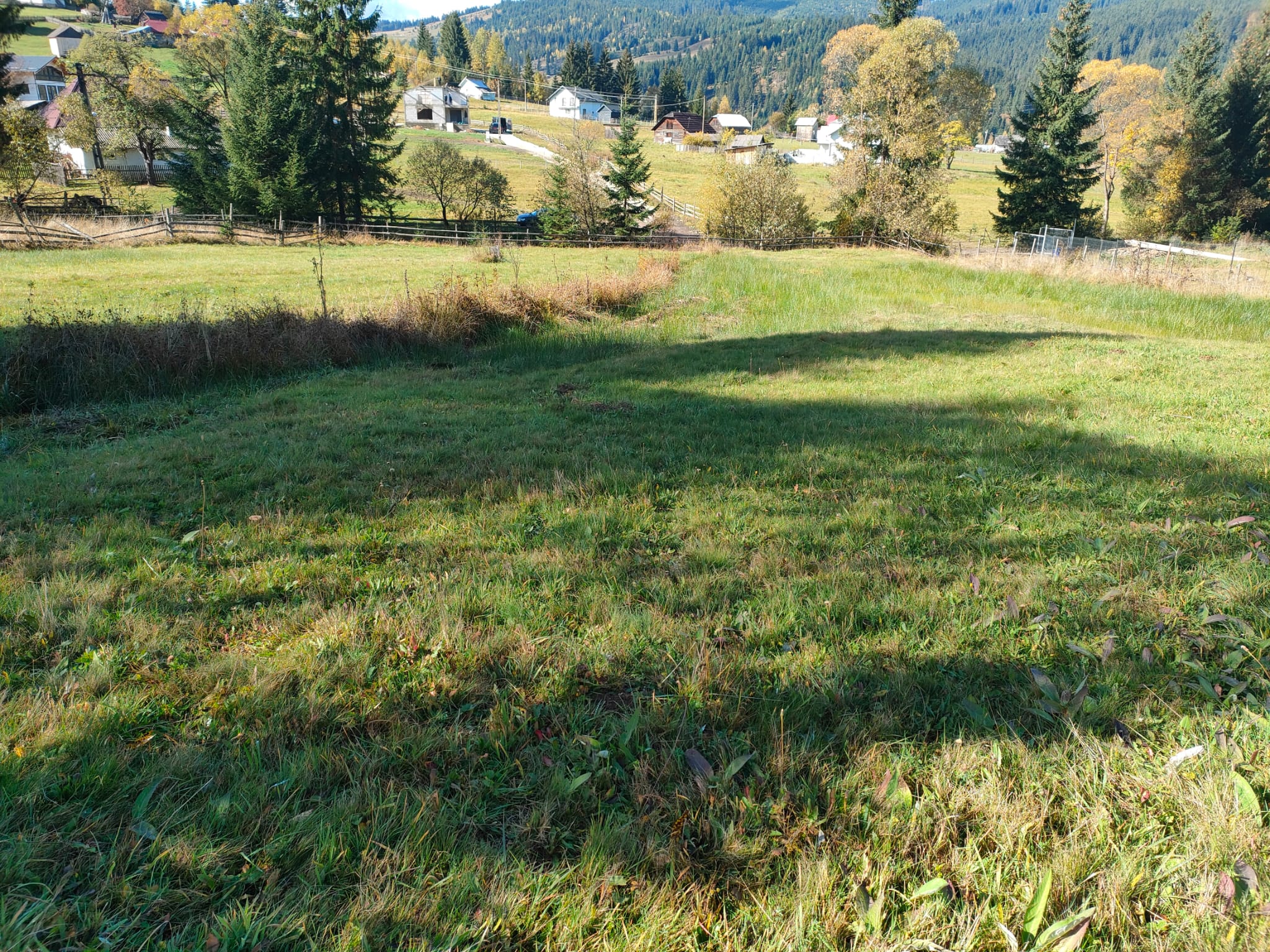 Plaiu-Sarului-Saru-Dornei