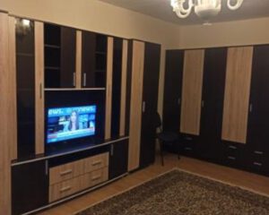 20706161_cde91ec73808416e8ea42c69a07574d_1