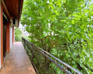 WhatsApp-Image-2025-06-07-at-17.45.35_fd83b915