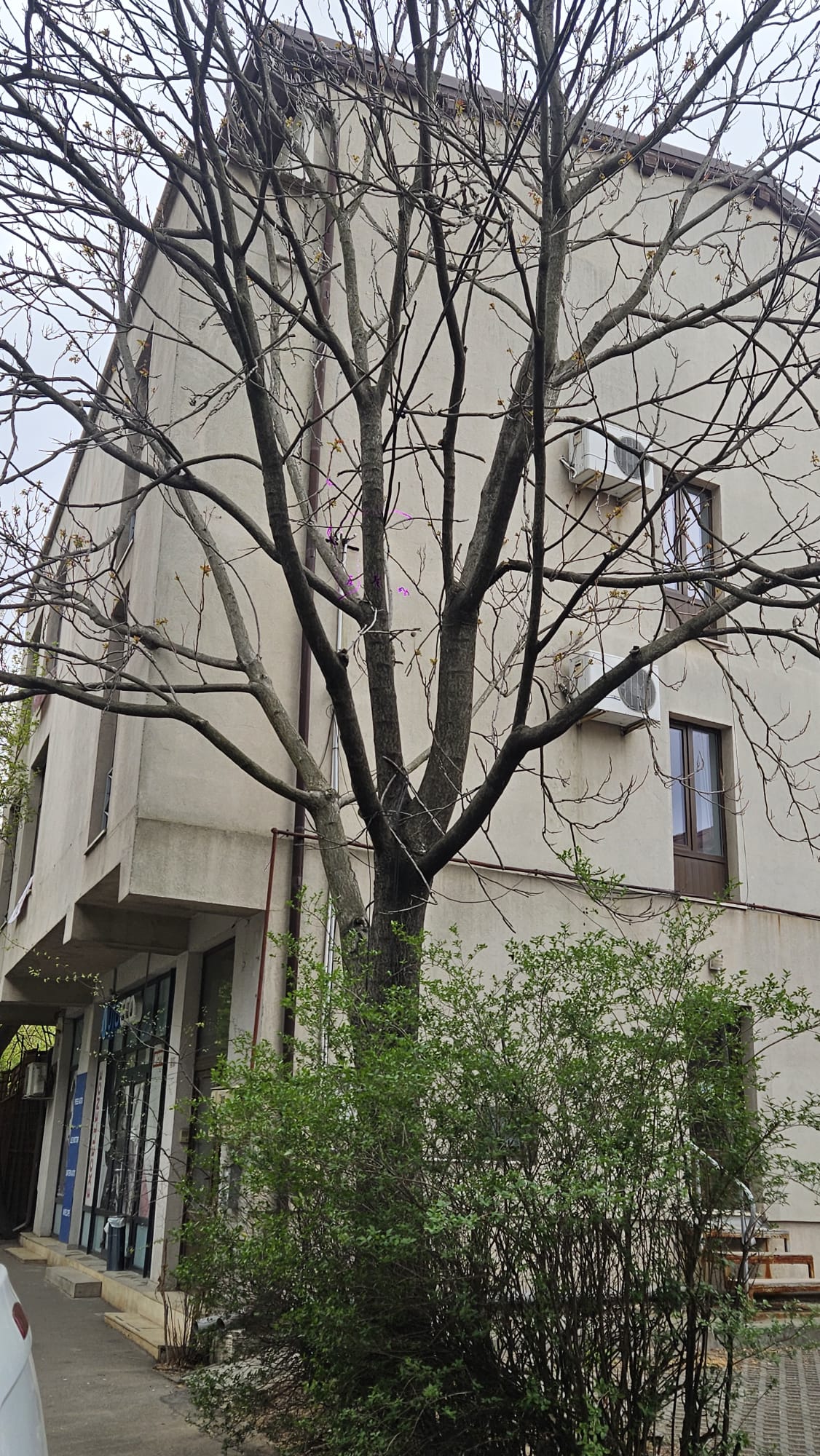 WhatsApp-Image-2026-04-22-at-09.11.21